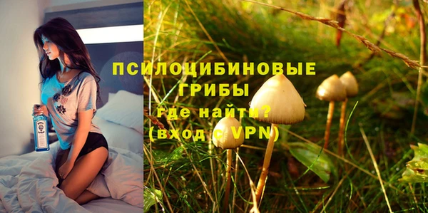 дмт Няндома