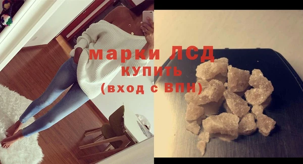 тгк Новозыбков